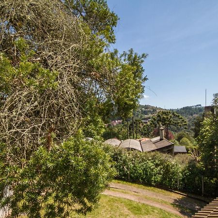 Casa Do Esquilo Campos Do Jordao Area Externa De 2000 M2 Βίλα Εξωτερικό φωτογραφία